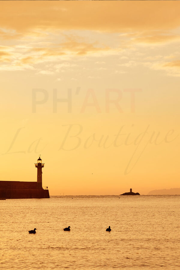 Matin orangé au port